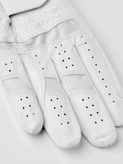 Hestra Leather Direct 5-finger -Soft Hand Gloves Store 289 d25b877d3b 38850 000 3 original