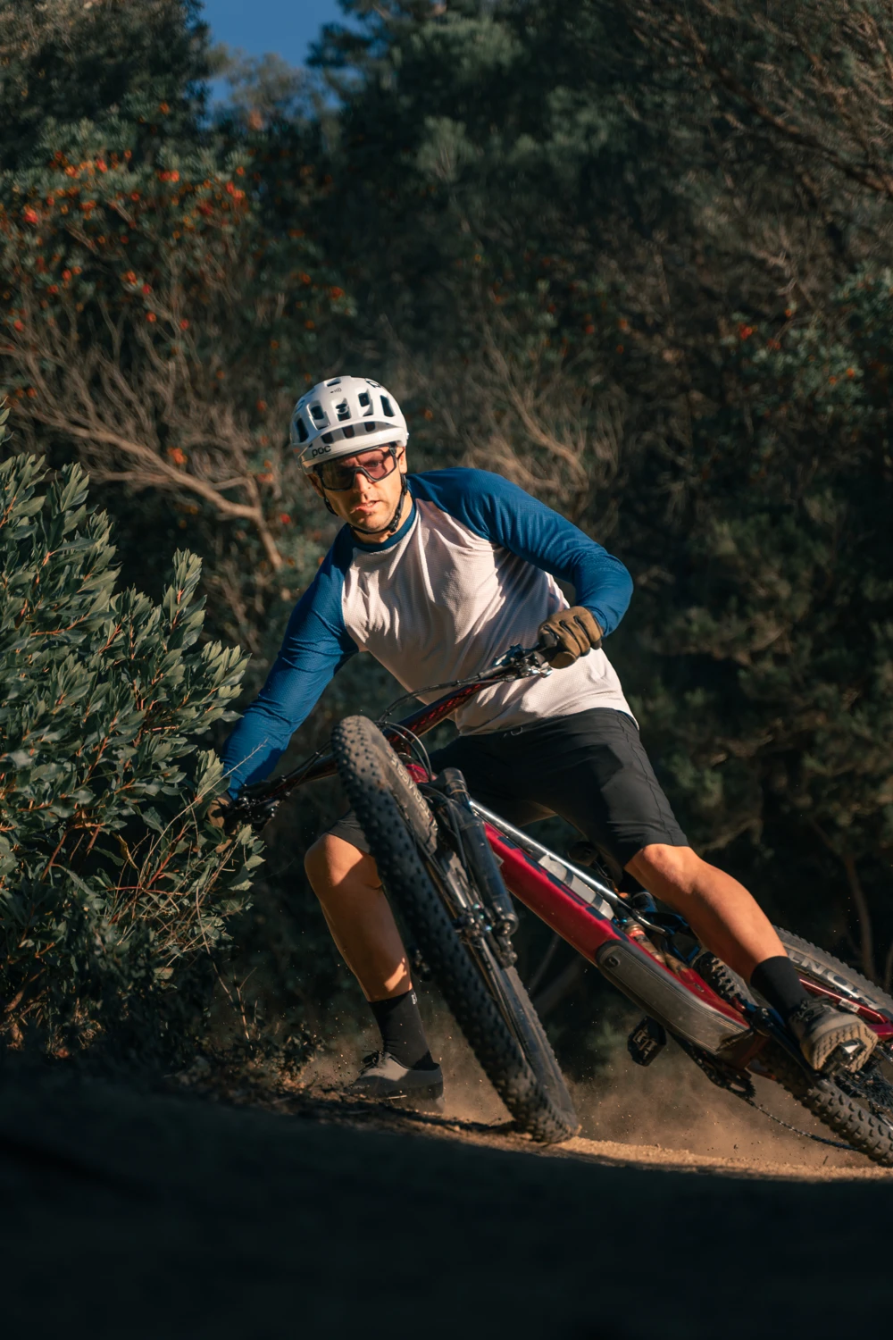 Hestra Bike Infinium BC 5-finger 4 Hestra Bike Infinium BC 5-finger - Image 2